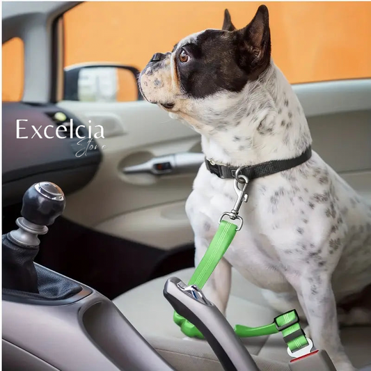 Cinturón de Seguridad para Mascotas